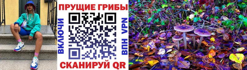 Галлюциногенные грибы MAGIC MUSHROOMS  Воскресенск 