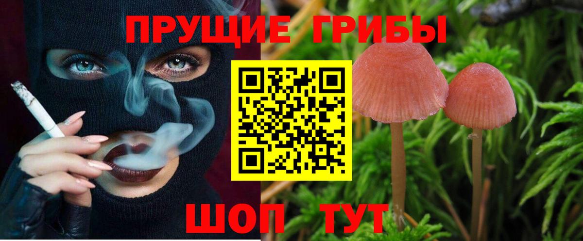 продажа наркотиков  Псилоцибиновые грибы Psilocybine cubensis  Вход с VPN  Воскресенск 